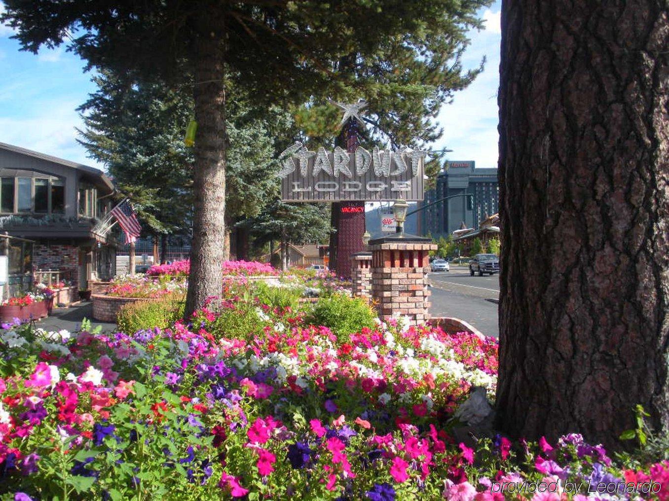 Stardust Lodge سووث لاك تاهوي المظهر الخارجي الصورة